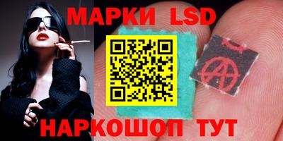 трава Гатчина