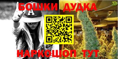 трава Гатчина