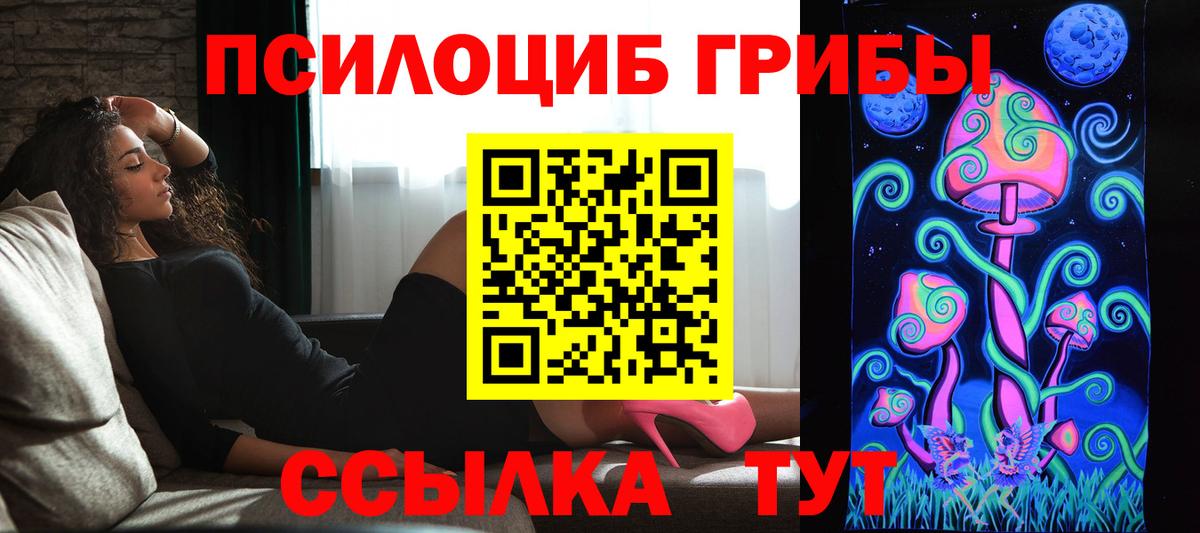 Галлюциногенные грибы Cubensis  Вход с VPN  Грозный 